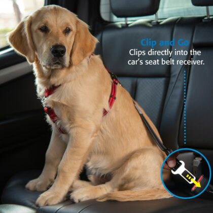 Rogz Car-Safe Seatbelt Clip/Lead