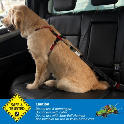 Rogz Car-Safe Seatbelt Clip/Lead